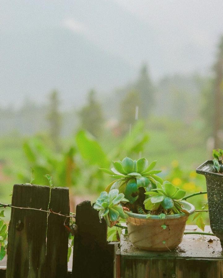 D Home Sapa 2 外观 照片